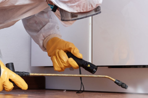 Messie Schädlingsbekämpfung Kamen